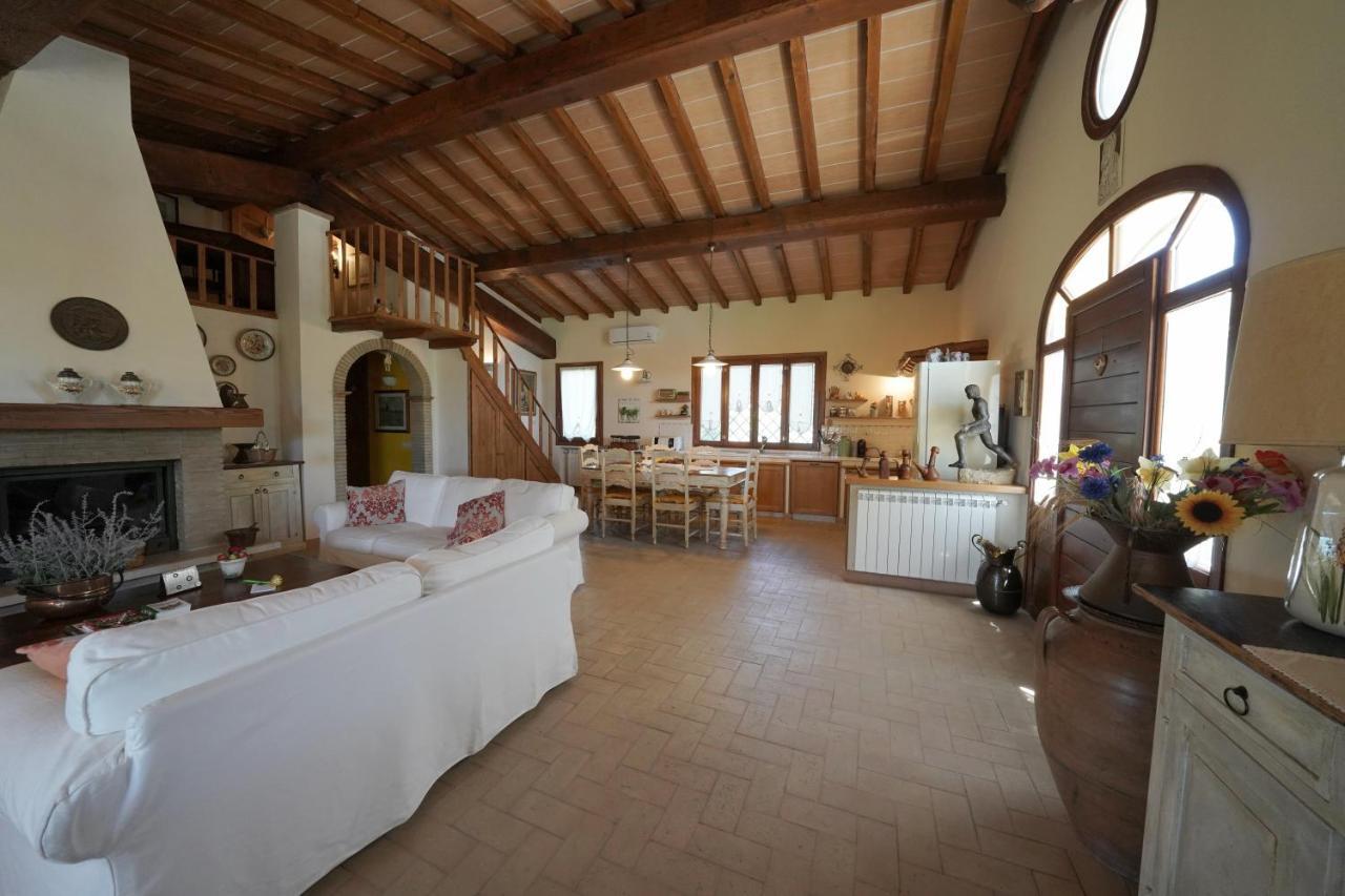 Casa Degli Ulivi Bed & Breakfast Cerveteri Dış mekan fotoğraf